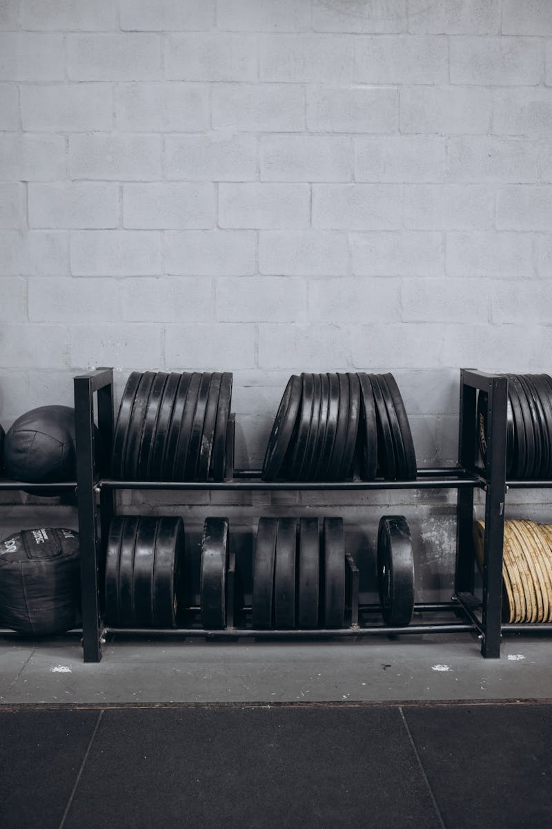 A gym storage rack holding weight plates and medicine balls against a minimalist concrete wall.